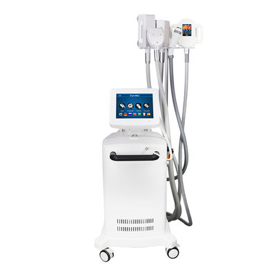 4500W 5 maneja la máquina de congelación gorda de Cryotherapy para la pérdida de peso
